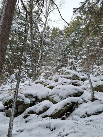 kamenná řeka pod Kraví horou